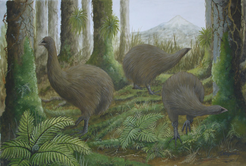 moa painting Chivers 500finished.jpg